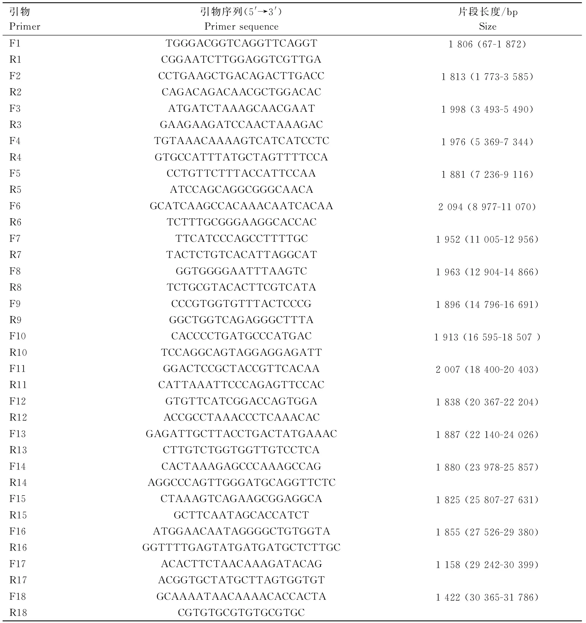 犬腺病毒2型E3基因自然缺失毒株的分离鉴定及其致病性
