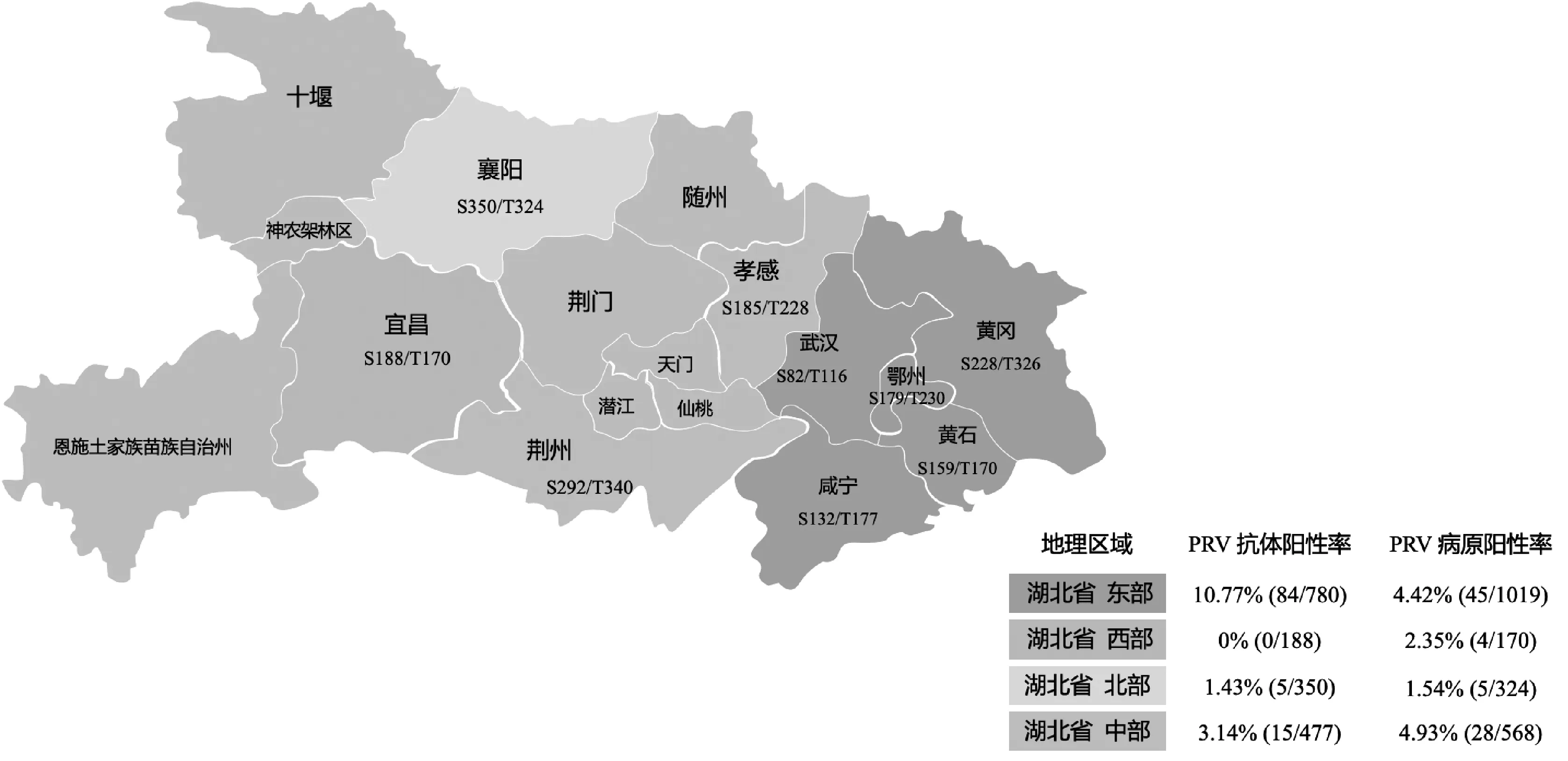 2020—2022年湖北省生猪屠宰场伪狂犬病病毒的分离鉴定及遗传进化分析