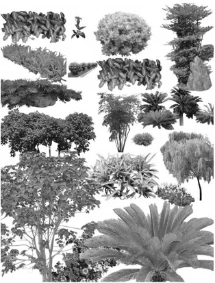 生态园林设计中植物配置探究