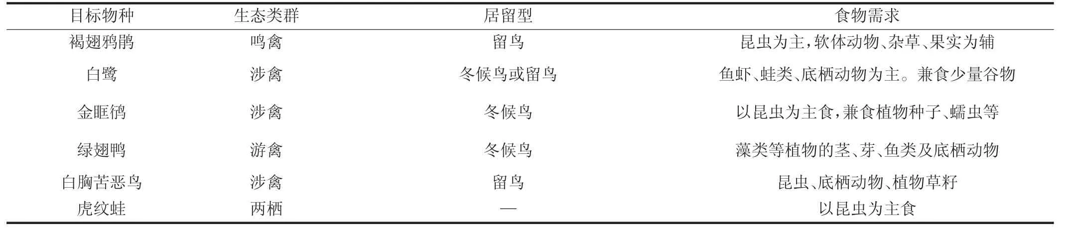 城市湿地公园的鸟类栖息地营造设计策略——以肇庆新区起步区湿地公园为例