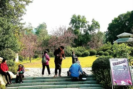 木兰中心春满园
