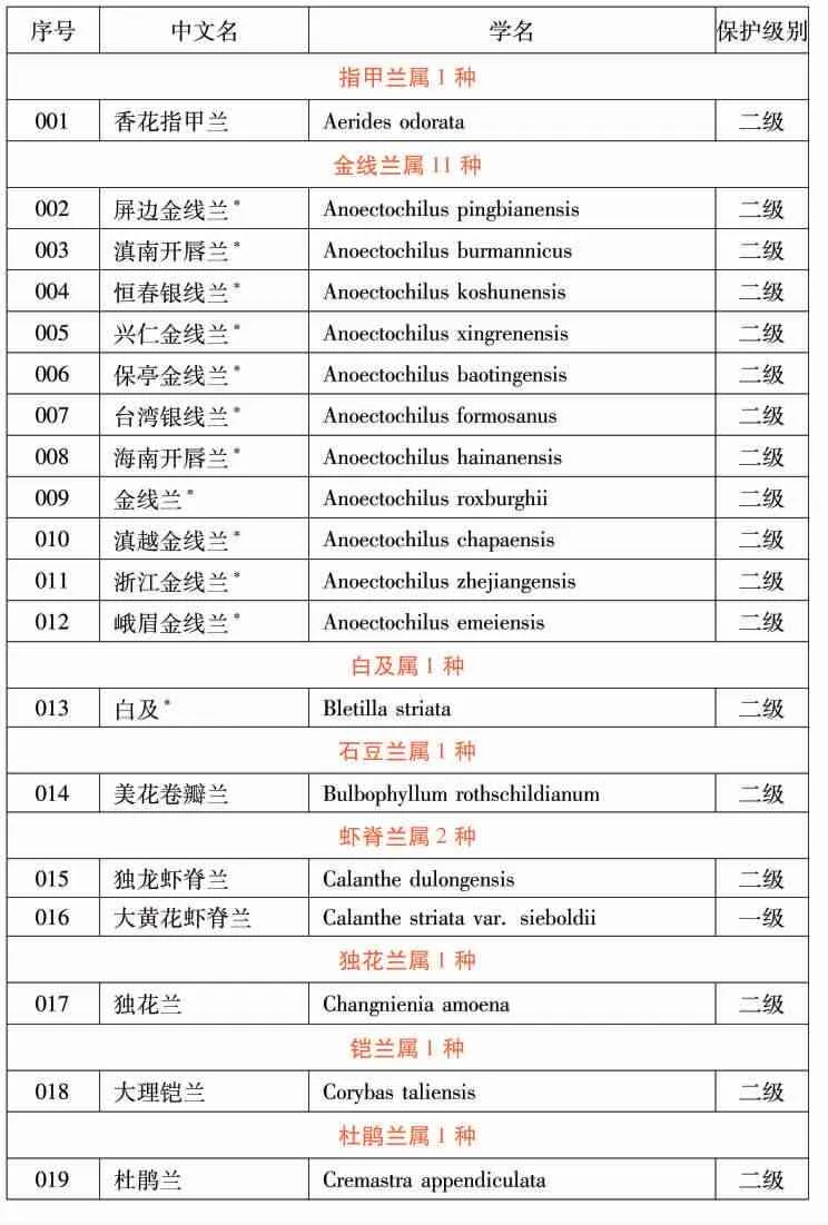 国家重点保护野生兰科植物名录