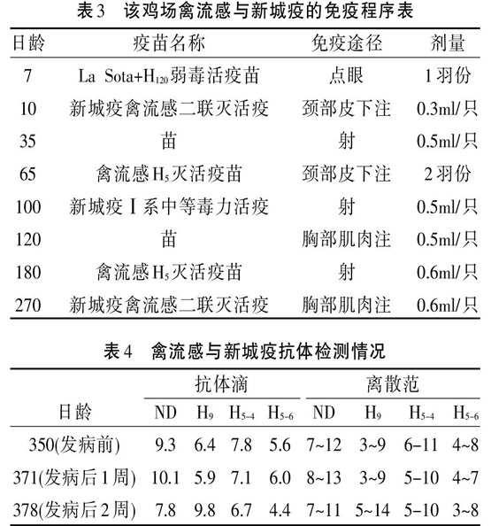 一起笼养蛋鸡禽流感H9的诊断报告