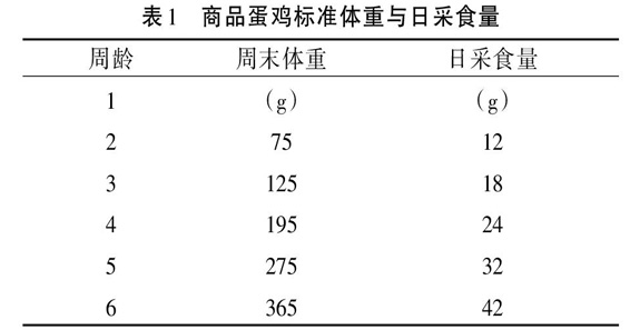 提高蛋鸡育雏成绩的关键措施