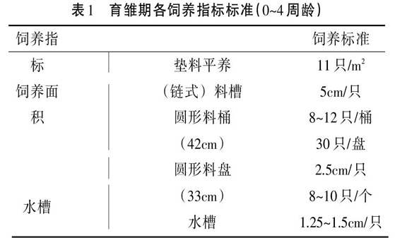 雏鸡的生理信号与1日龄雏鸡的挑选