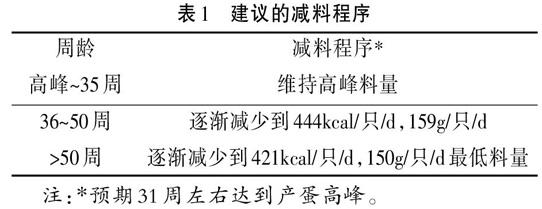 现代肉种鸡产蛋高峰后至淘汰的管理要点