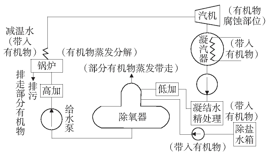 试论总有机碳分析在电厂化学监督中的重要性
