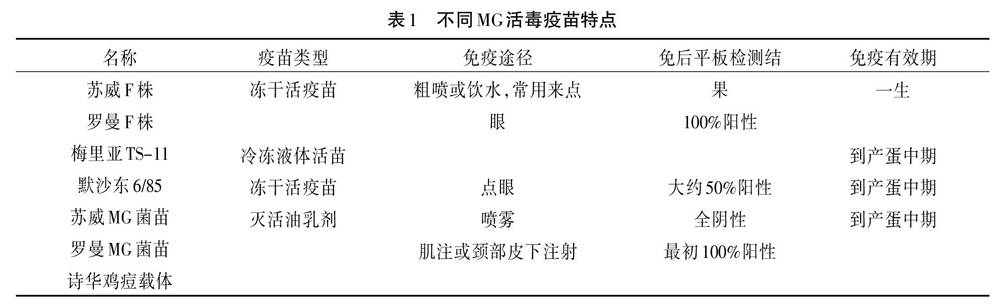 商品蛋鸡群中MG的控制