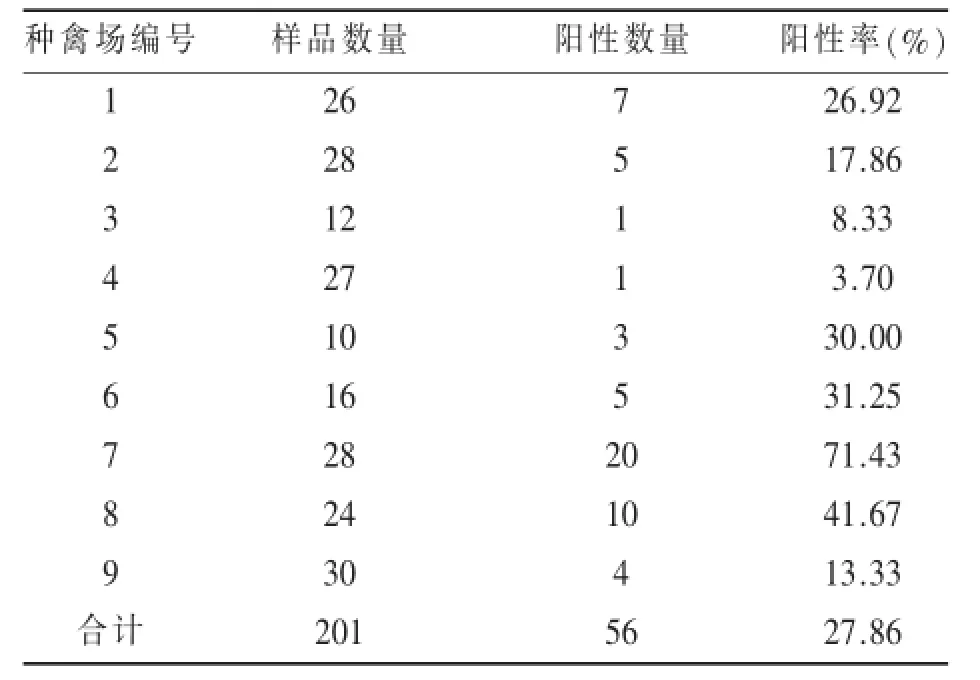 山东省禽白血病血清学调查*