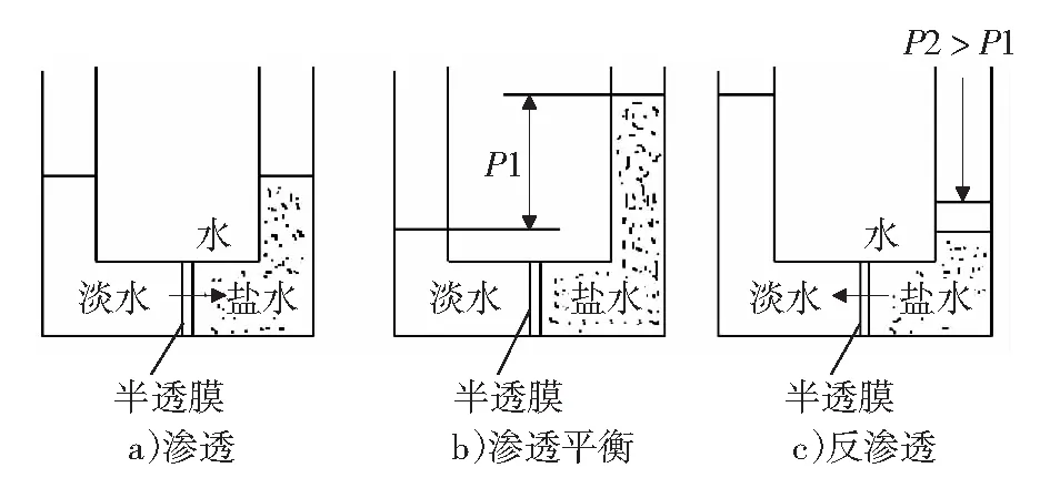 反渗透法和全离子交换法除盐技术初步比较