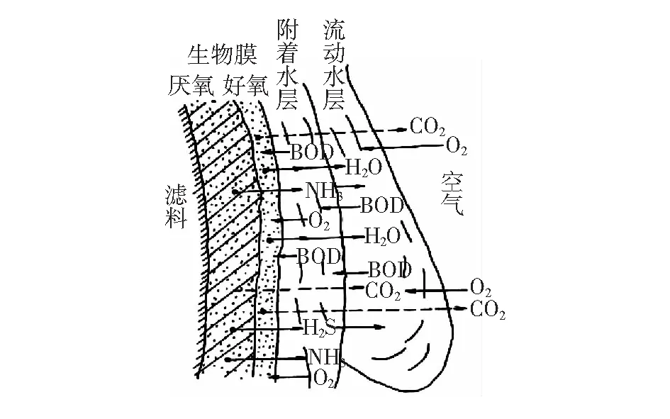 煤化工废水处理技术应用分析