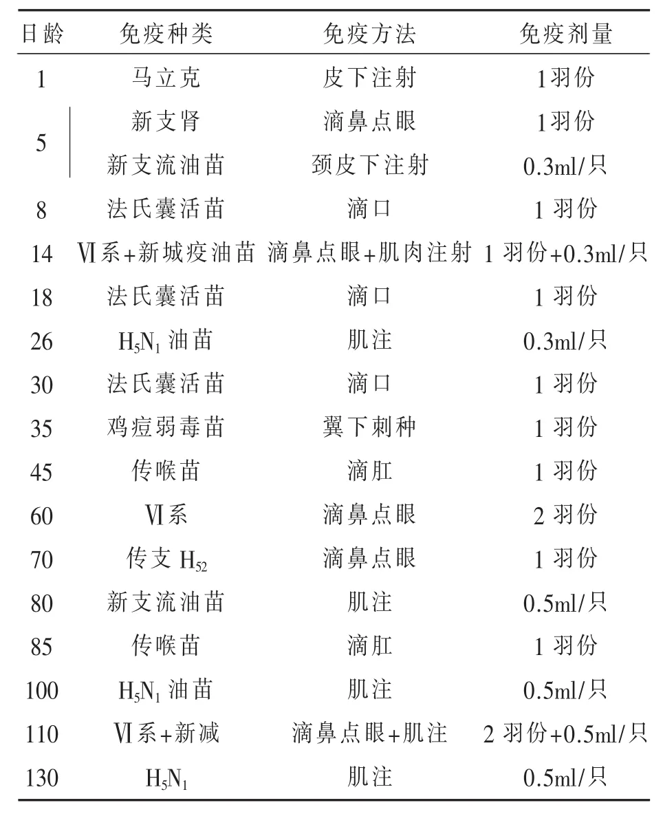 “大午金凤”蛋鸡饲养管理技术（五）