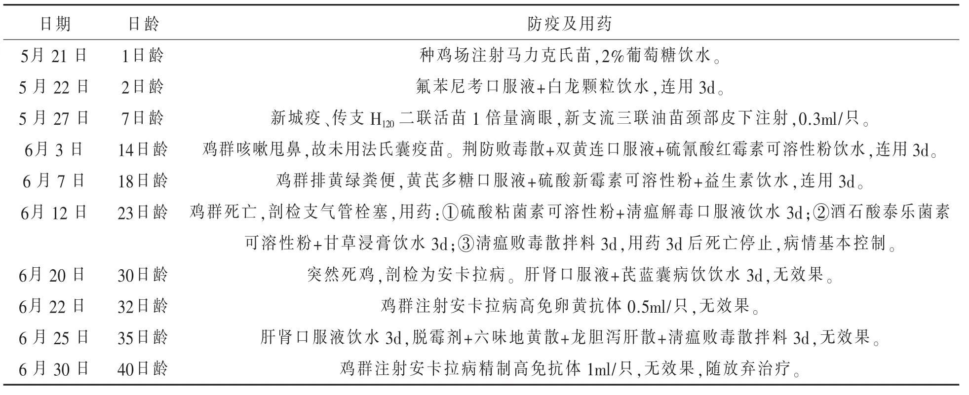 一例蛋鸡育雏期安卡拉病的诊治