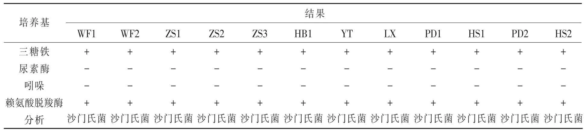 山东省鸡源沙门氏菌的分离鉴定及药敏试验