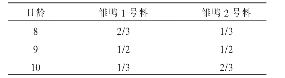 商品肉鸭育雏期的饲养管理