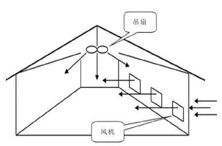 现代肉种鸡过渡与最小通风应关注的重点（上）