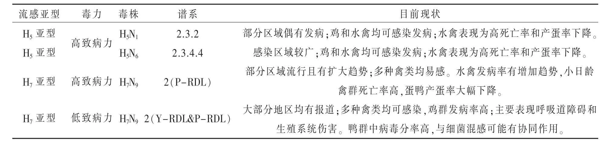 水禽禽流感流行特点及其防控