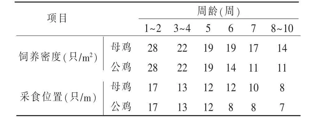 笼养肉种鸡1～10周龄的体重管理