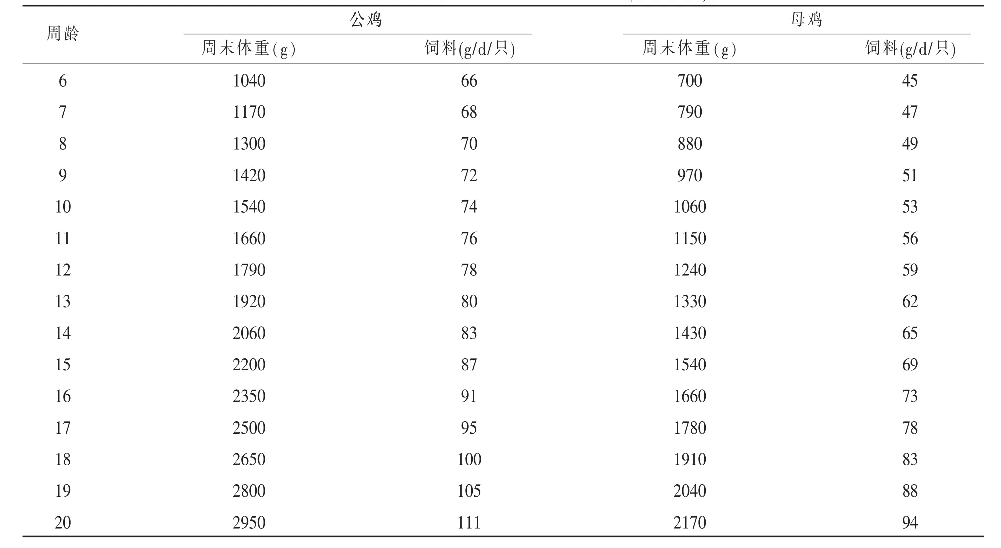 蛋鸡育成期的管理要点