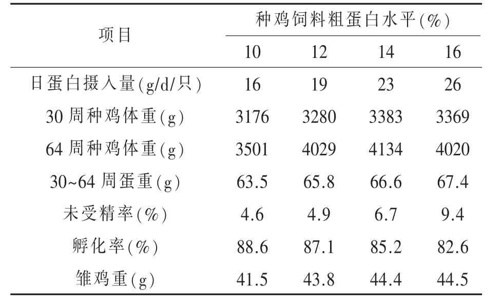 肉种鸡饲养管理中存在的主要问题及对策(下)