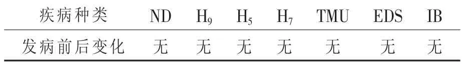 樱桃谷种鸭产蛋下降综合征的流行病学调查及防控建议