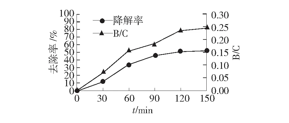 铁碳微电解工艺预处理己内酰胺生产废水实验研究