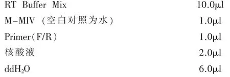 山东地区鸡肾型传染性支气管炎病毒的分离鉴定及防治*