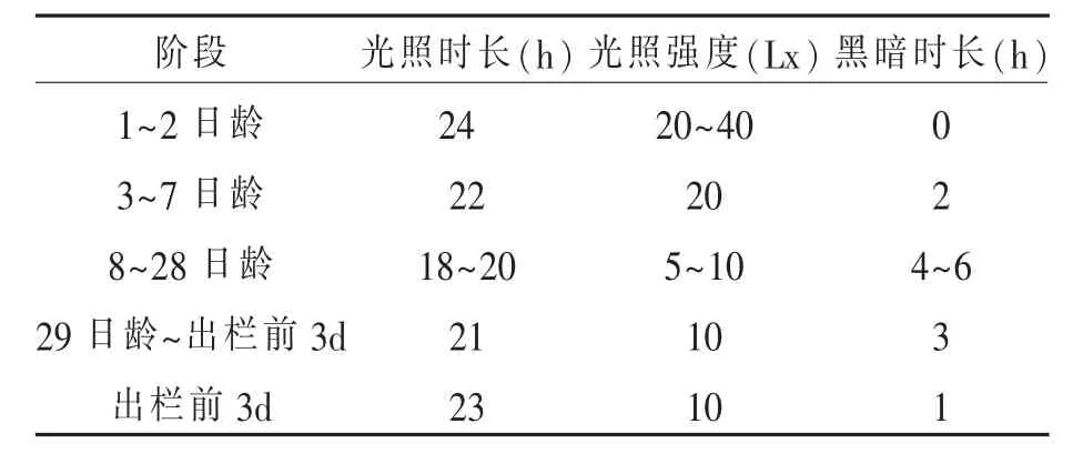 肉鸡立体笼养技术的管控要点