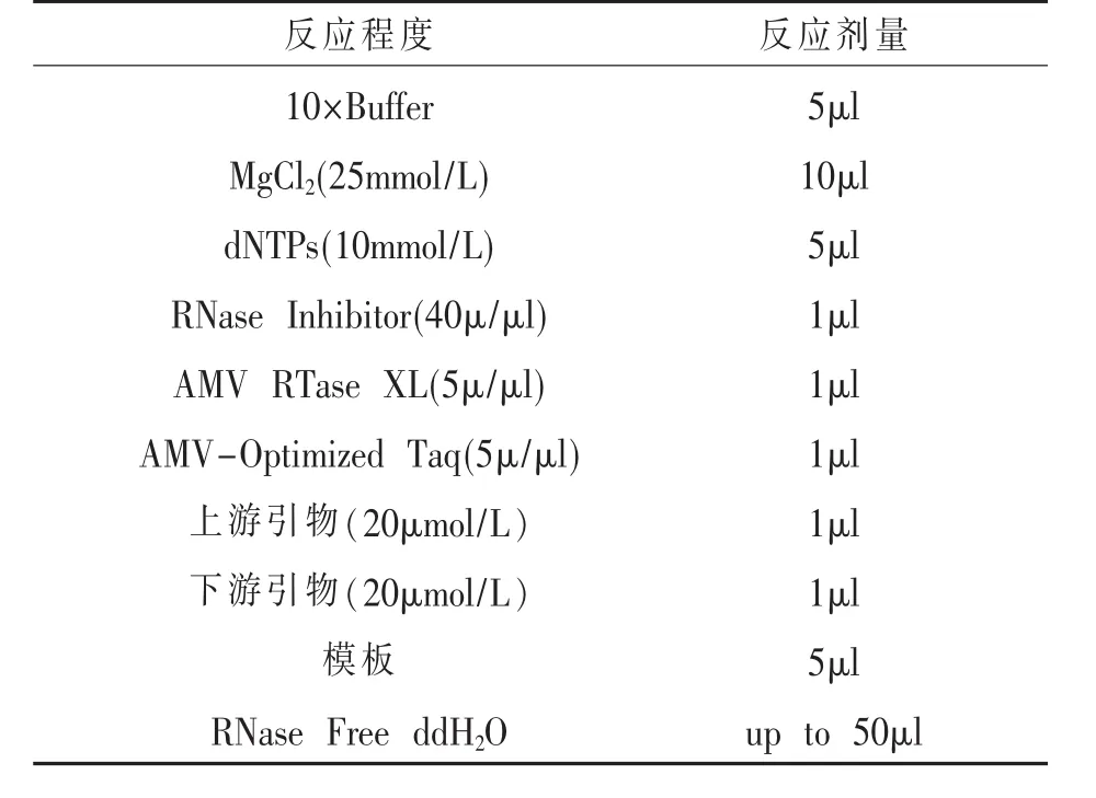 一例鸡新城疫病RT-PCR的诊断*