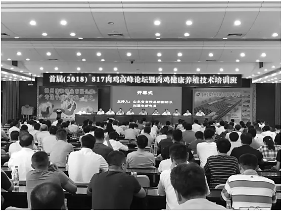 首届（2018）817肉鸡高峰论坛暨肉鸡健康养殖技术培训班隆重召开