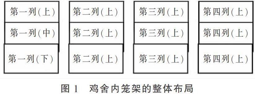 层叠式笼养下的白羽肉鸡生长性能分析