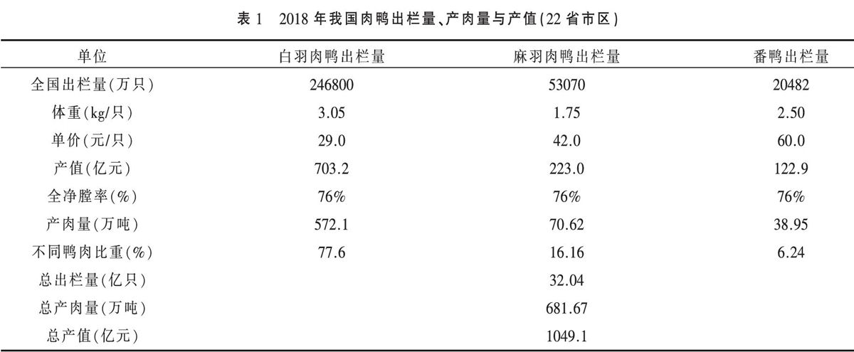 “非瘟”影响下的我国肉鸭产业分析