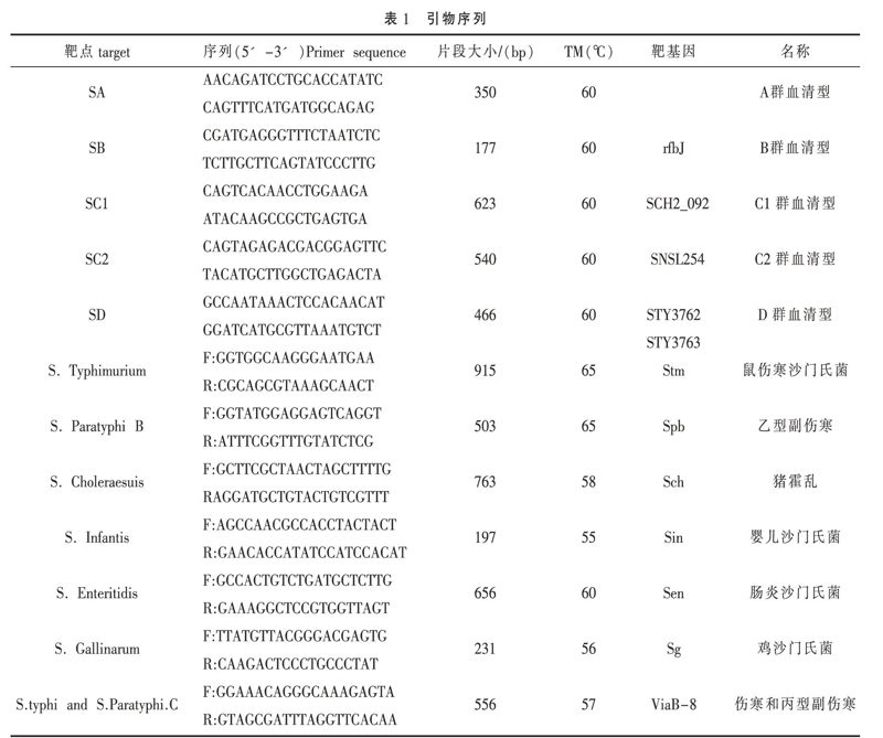 2株鸽源沙门氏菌病原的分离鉴定及诊治分析