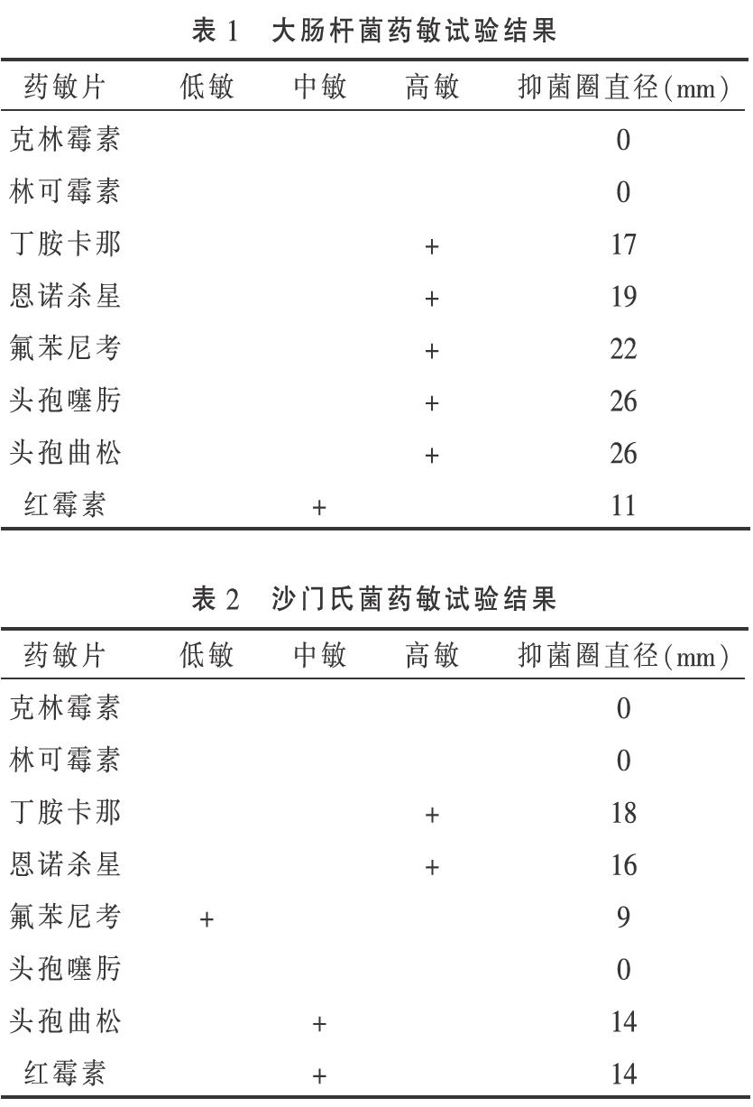 一例种鸭场沙门氏菌和大肠杆菌混感的临床诊治