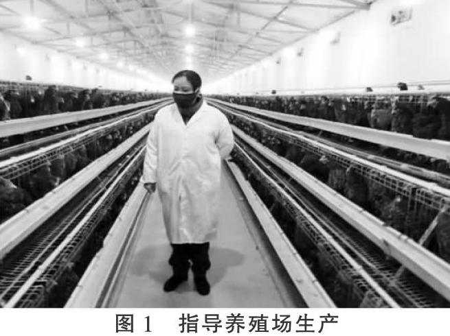 新冠肺炎疫情下汶上县蛋鸡养殖场采取的综合防控措施
