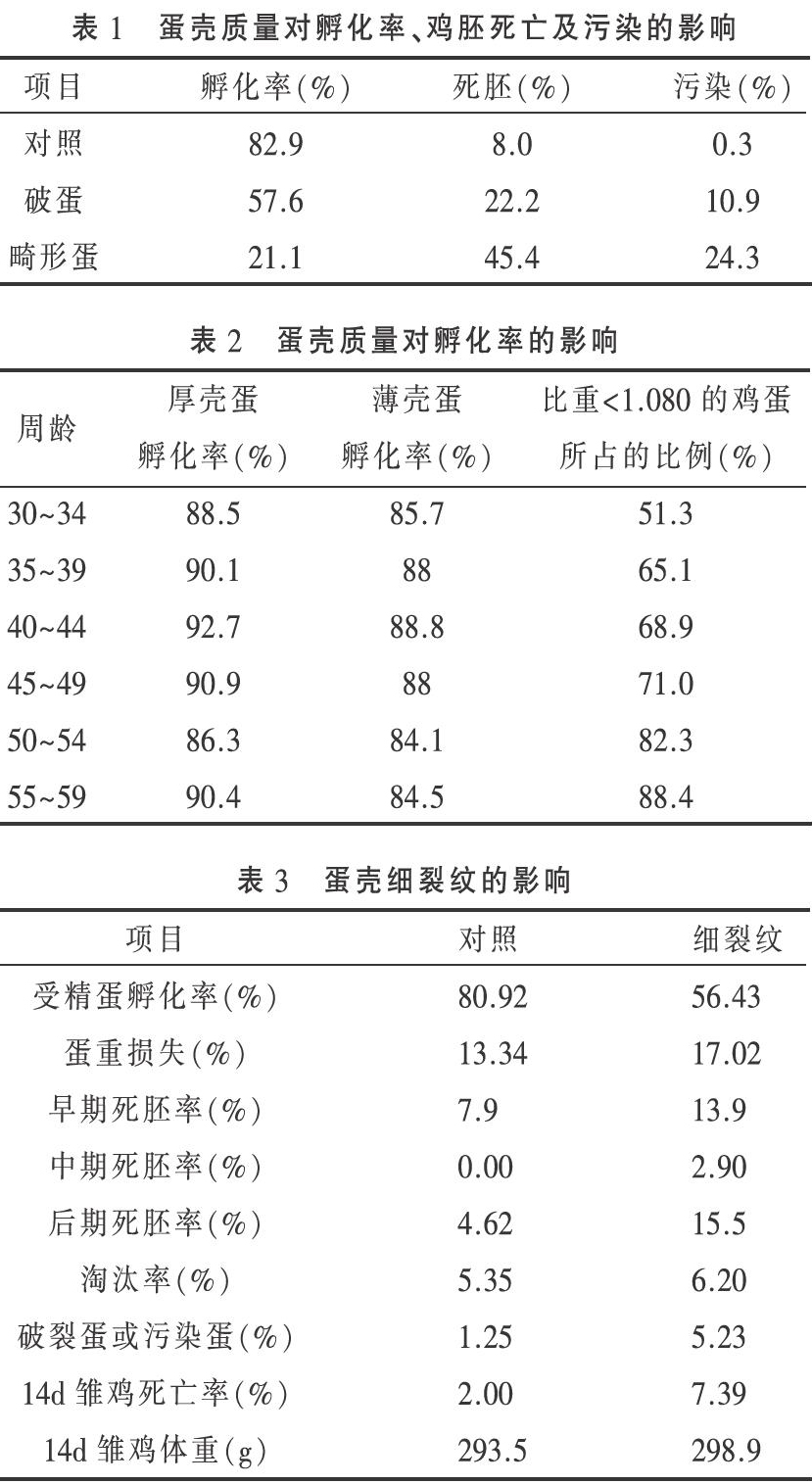 现代肉种鸡营养对雏鸡质量的影响