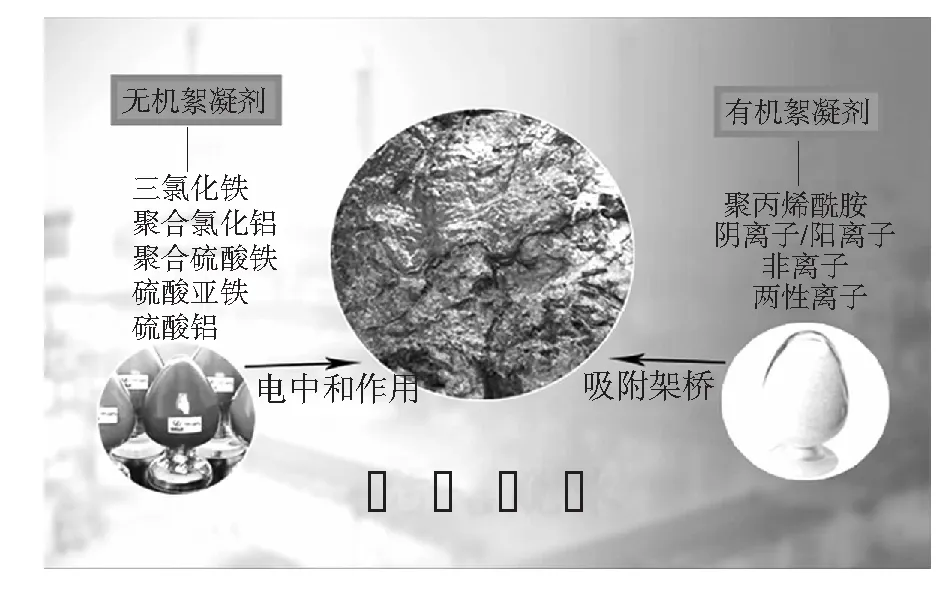 污水处理厂不同工艺的污泥脱水效能分析及其影响因素研究