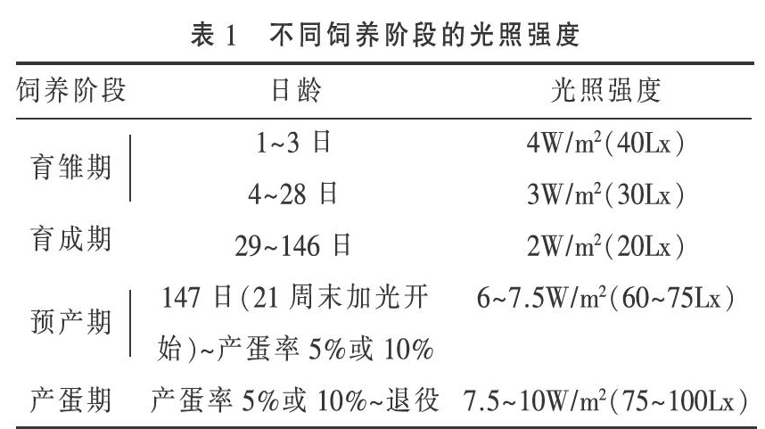 父母代肉种鸡饲养管理实践（三）