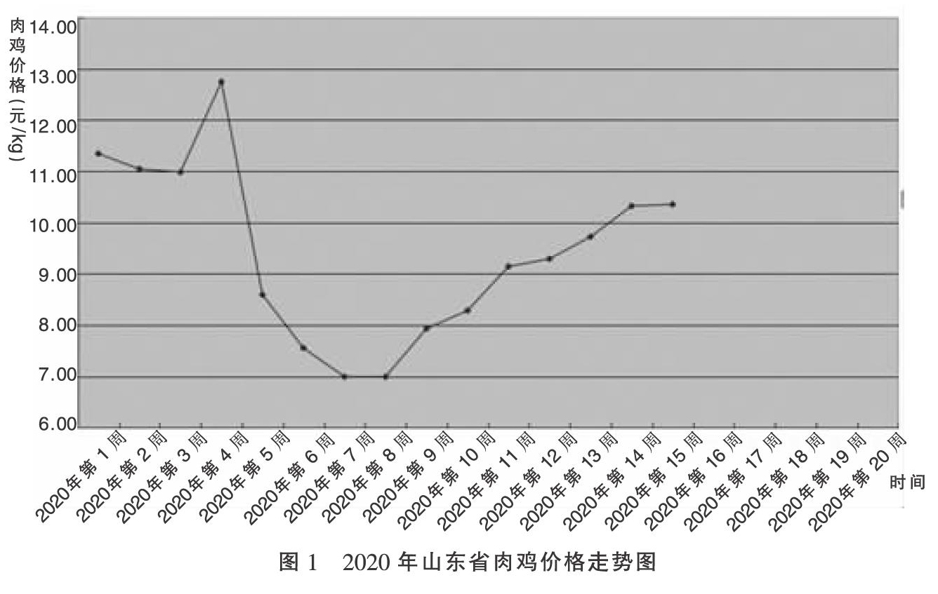 当前山东省肉鸡养殖行情分析和产业发展建议