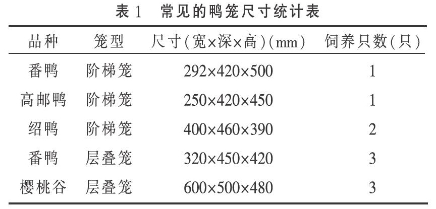 蛋鸭笼养技术实践与研究进展