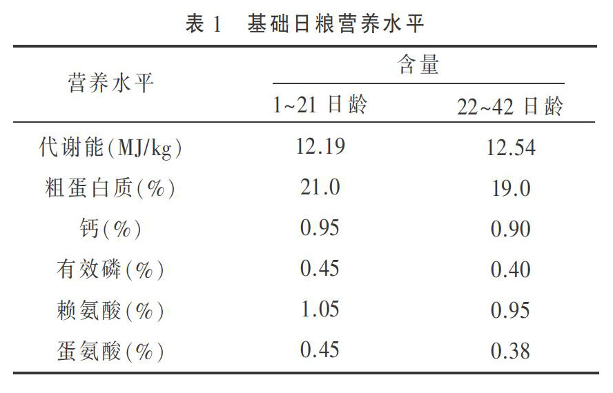 育雏期分群饲养对鲁禽3号公鸡死亡率的影响