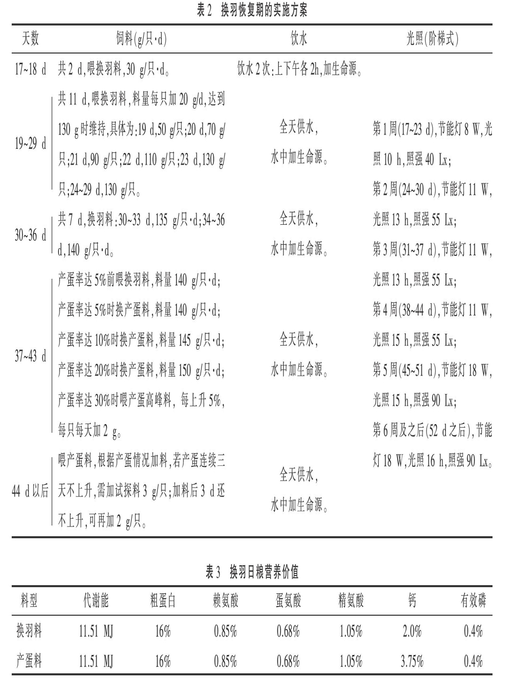 父母代肉种鸡饲养管理实践（十一）