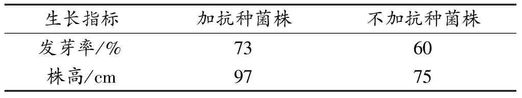 煤矿中土壤重金属污染的生物修复技术研究