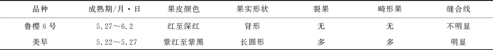 甜樱桃新品种鲁樱6号的选育及栽培技术要点