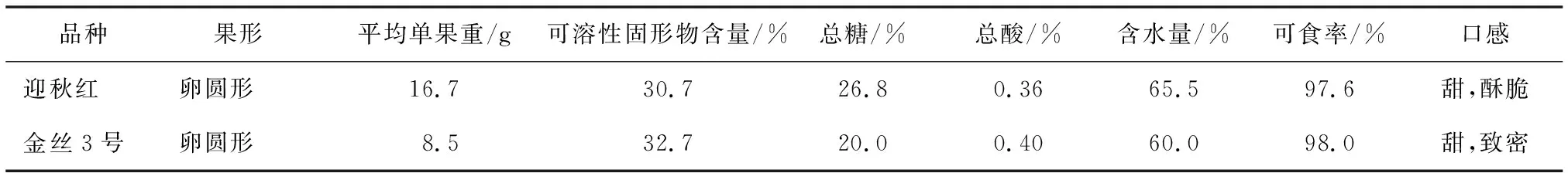 枣新品系迎秋红的选育与栽培技术要点