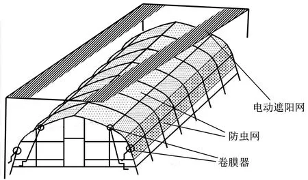 草莓高架基质育苗技术