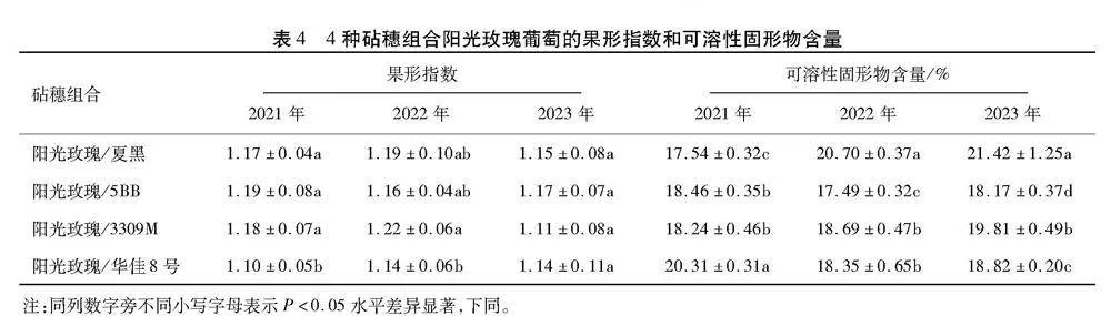 4种砧木嫁接阳光玫瑰葡萄的性状表现