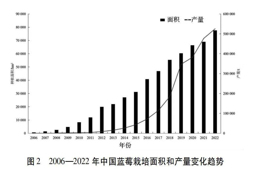 世界及中国蓝莓产业现状