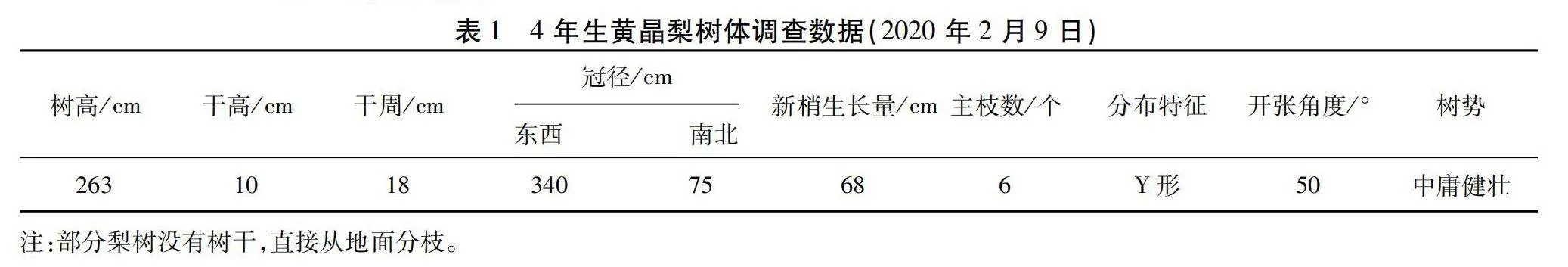 黄晶梨Y形篱壁树形早期产量调查与栽培技术要点