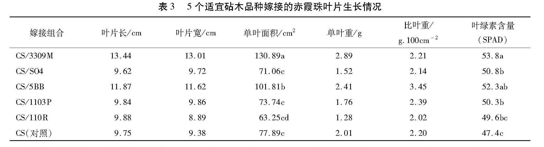北疆地区不同砧木对赤霞珠葡萄生长发育的影响